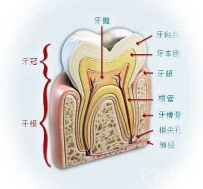 何时做根管治疗合适